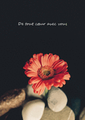 Fleur orange pour un soutien sinc&egrave;re